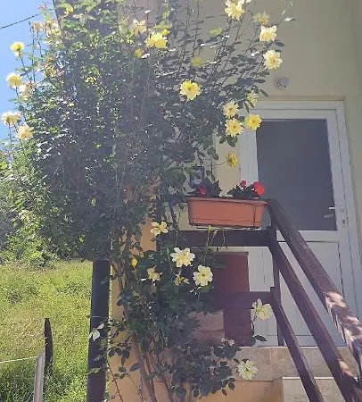 Vikendica Jovanovic 福查