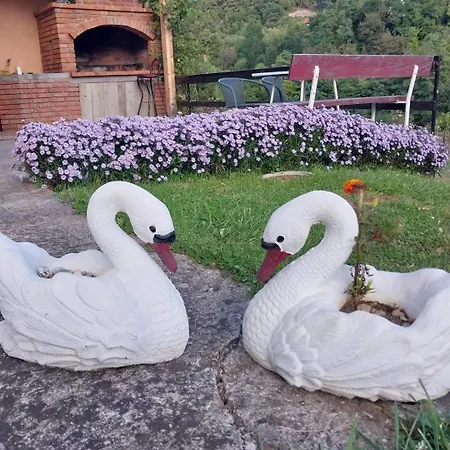 Vikendica Jovanovic Tatil Evi *