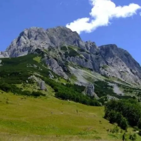 Vikendica Jovanovic Tatil Evi *