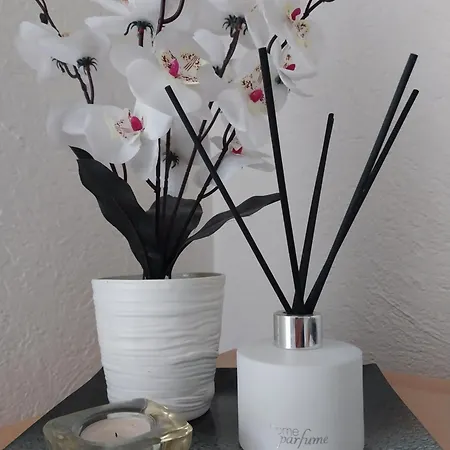 Tatil Evi Vikendica Jovanovic