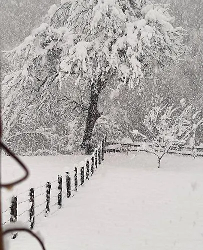 Vikendica Jovanovic * Foca